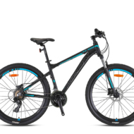 XC100 - 29" MTB - H.Disc
