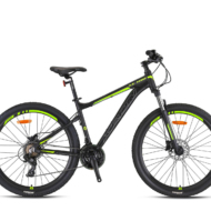 XC100 - 29" MTB - H.Disc - Image 3