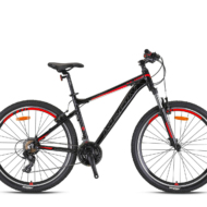 XC100 - 29" MTB - H.Disc - Image 2